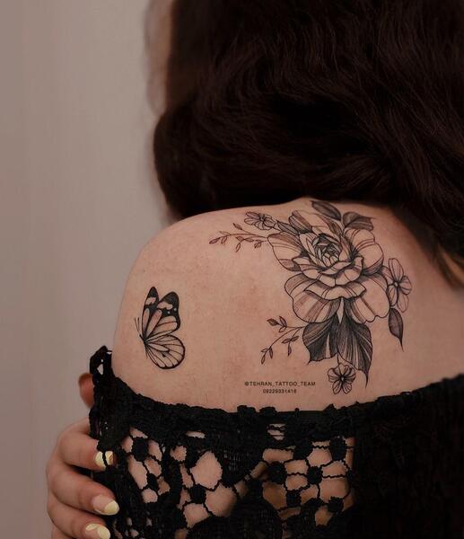 عکس پروانه روی گل رز قرمز