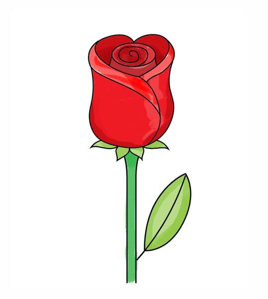 عکس پروانه روی گل رز قرمز