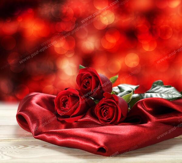 عکس پروانه روی گل رز قرمز