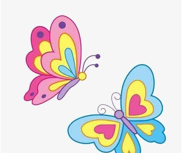عکس پروانه رنگی نقاشی