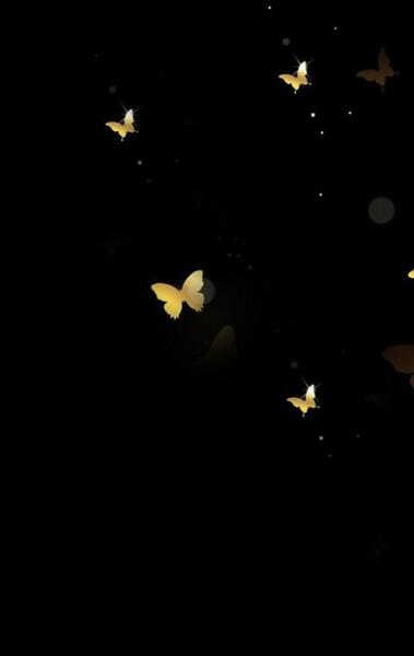 عکس پروانه با زمینه مشکی