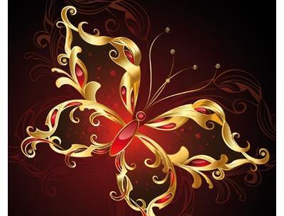عکس پروانه با زمینه مشکی