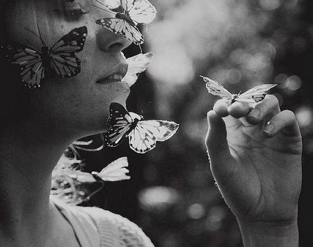 عکس پروانه سیاه برای پروفایل
