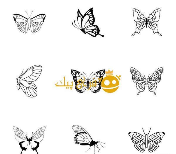 عکس عكس پروانه ساده