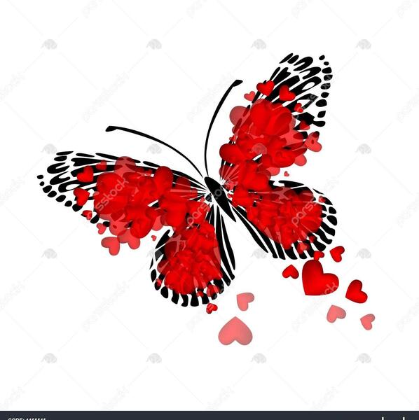 عکس قلب پروانه ای