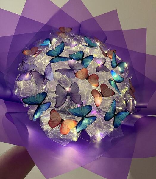 عکس قلب پروانه ای