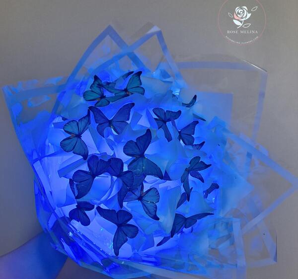عکس قلب پروانه ای
