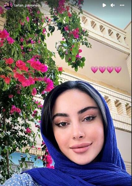 عکس پروانه واقعی صورتی