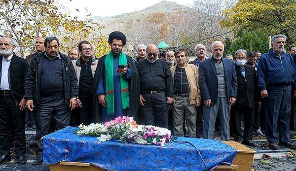 عکس پروانه واقعی بزرگ