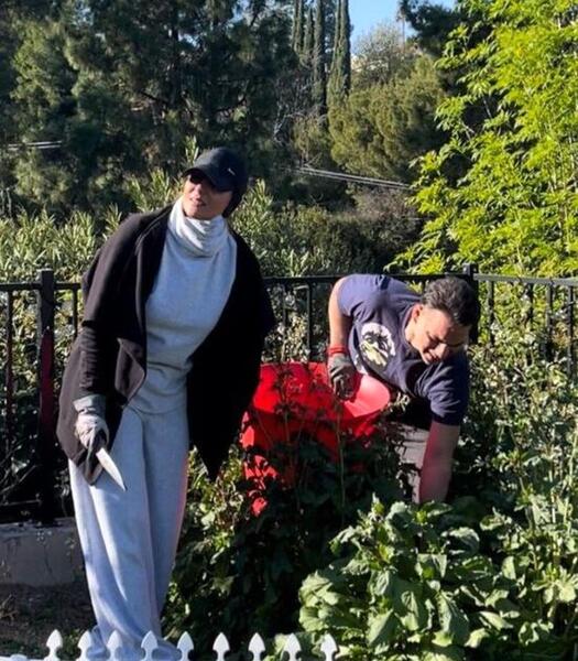 عکس پیمان معادی در برادران لیلا