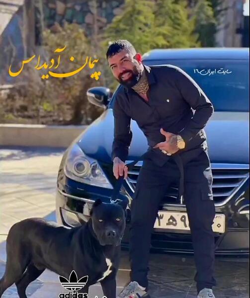 عکس پیمان آدیداس برای تصویر زمینه