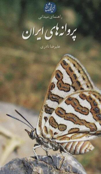 عکس پروانه رو کتاب