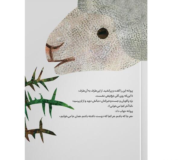 عکس پروانه رو کتاب