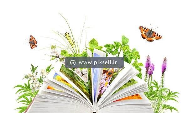 عکس پروانه با کتاب