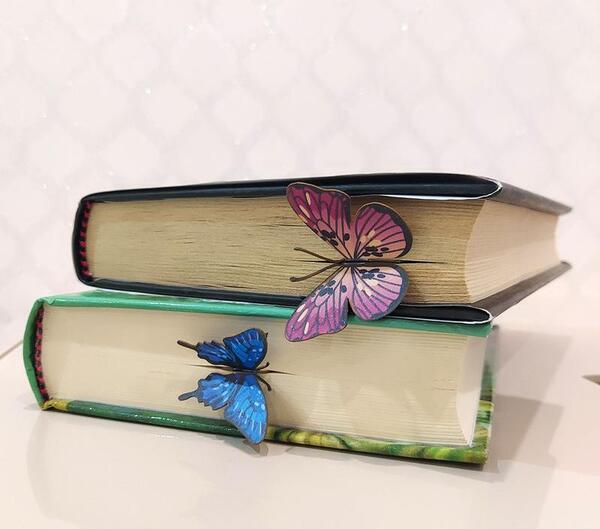 عکس پروانه با کتاب