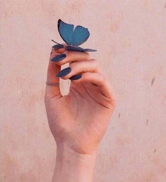 عکس پروفایل پروانه و دست