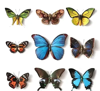 عکس پروانه های رنگی و زیبا