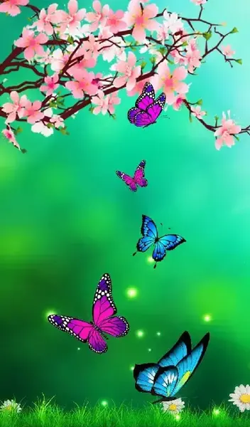 عکس پروانه های رنگی و زیبا