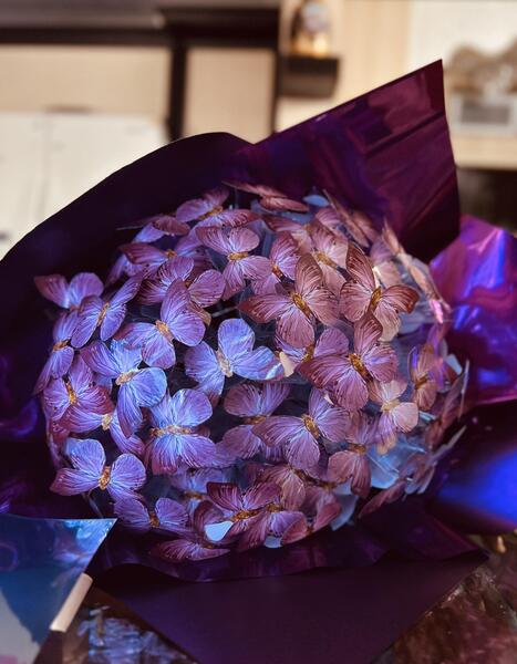 عکس پروانه دسته گل