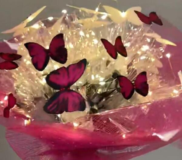 عکس پروانه دسته گل