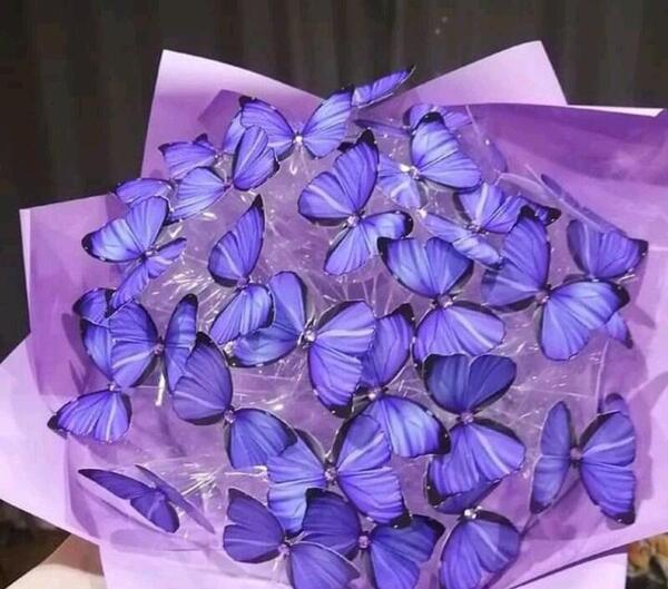 عکس پروانه دسته گل