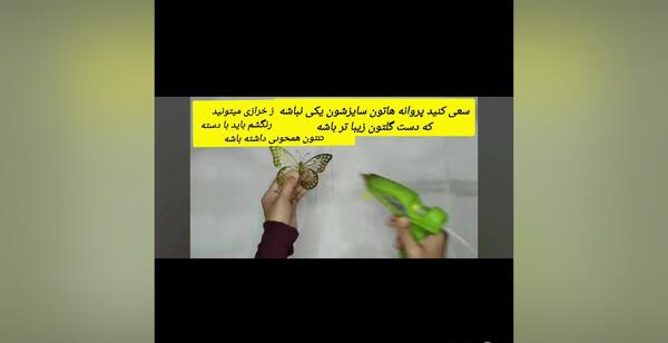 عکس پروانه دسته گل