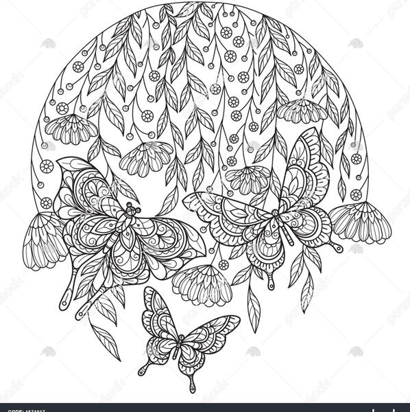 عکس هنری کتاب و پروانه