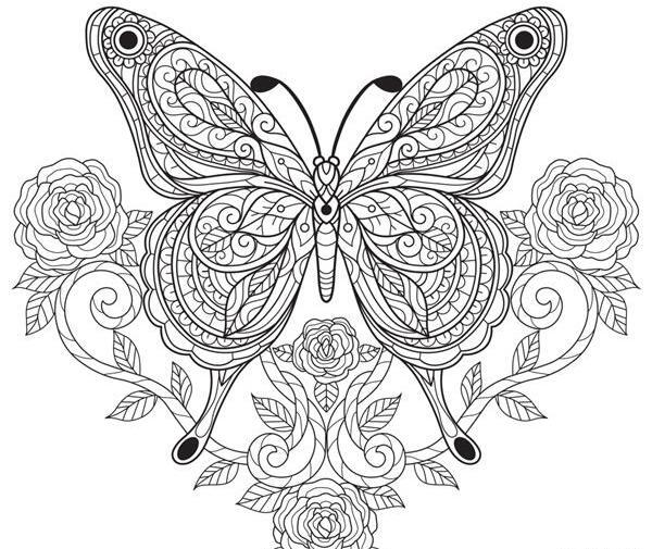 عکس هنری کتاب و پروانه