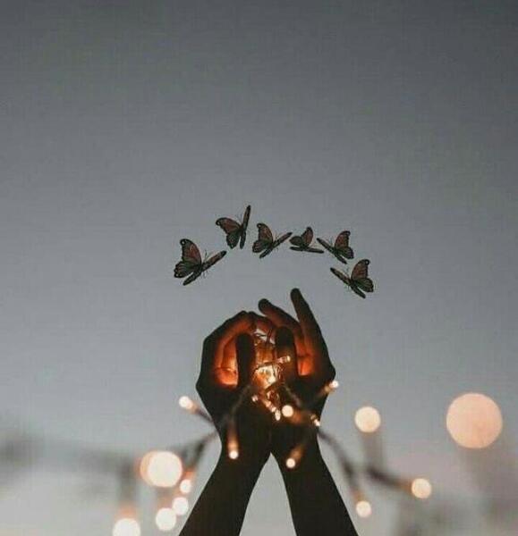 عکس دختر و پروانه برای پروفایل