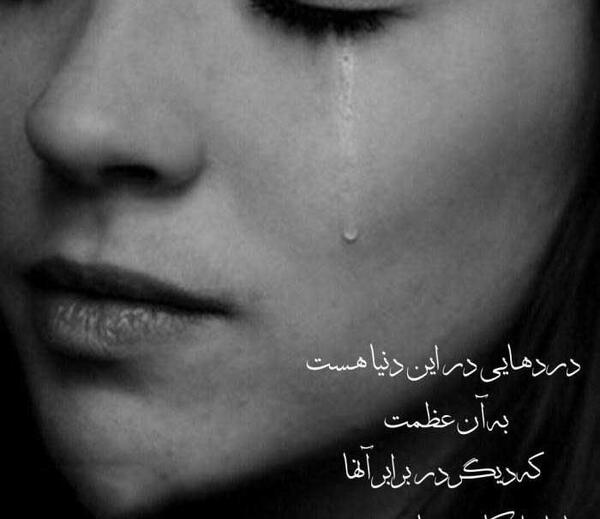 عکس پروانه با نوشته