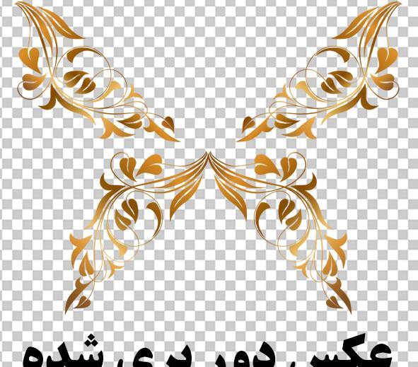 عکس پروانه نارنجی برای چاپ