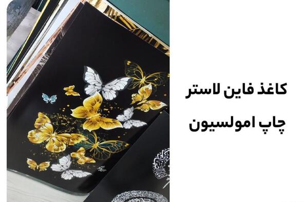 عکس پروانه نارنجی برای چاپ