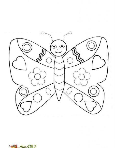 عکس پروانه نقاشی رنگ شده