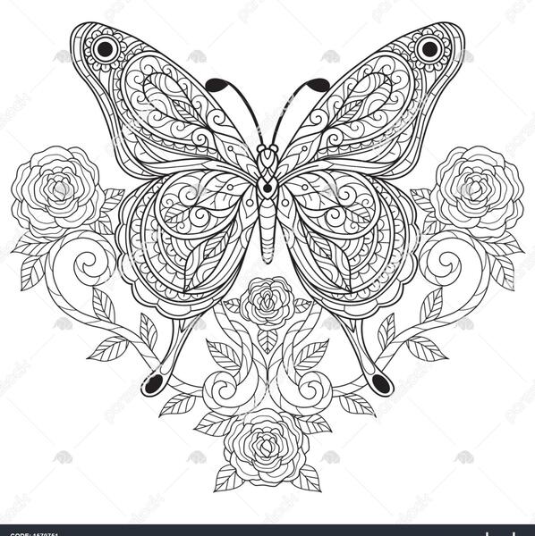 عکس پروانه نقاشی رنگ شده