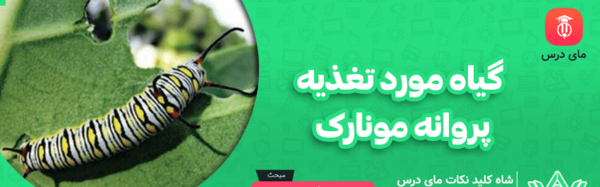 عکس پروانه ی مونارک