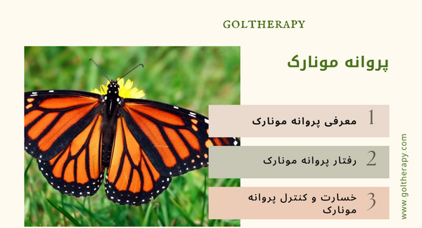 عکس پروانه ی مونارک