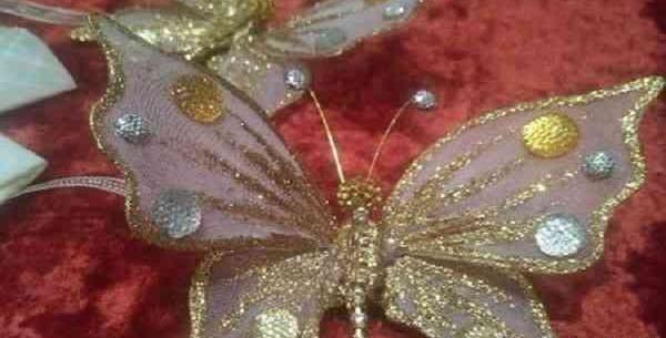عکس پروانه متحرک زیبا