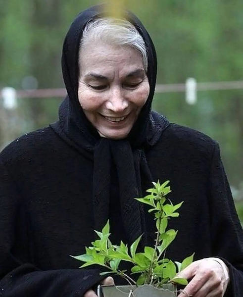 عکس پروانه معصومی در فیلم یوسف پیامبر