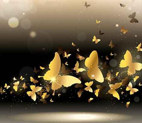 عکس پروانه برای لوگو
