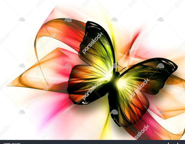 عکس کیوت پروانه ای