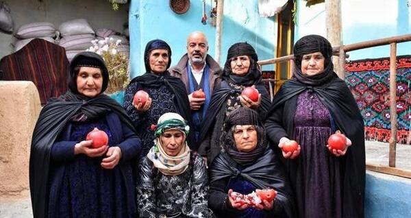 عکس بازیگر پروانه لطفی