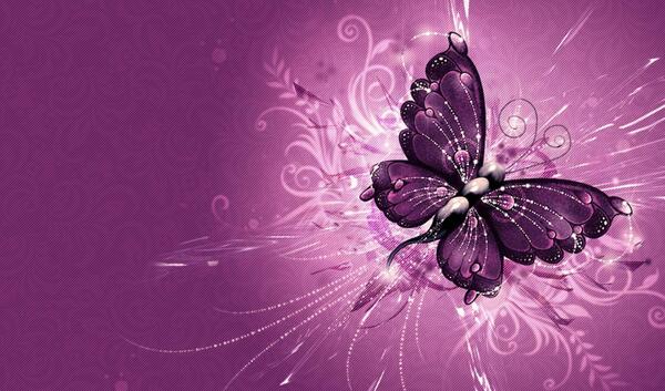 عکس کیوت پروانه بنفش