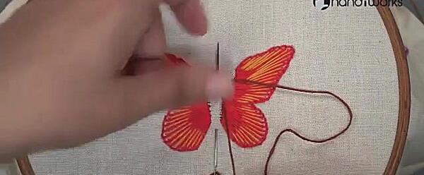 عکس پروانه برای گلدوزی