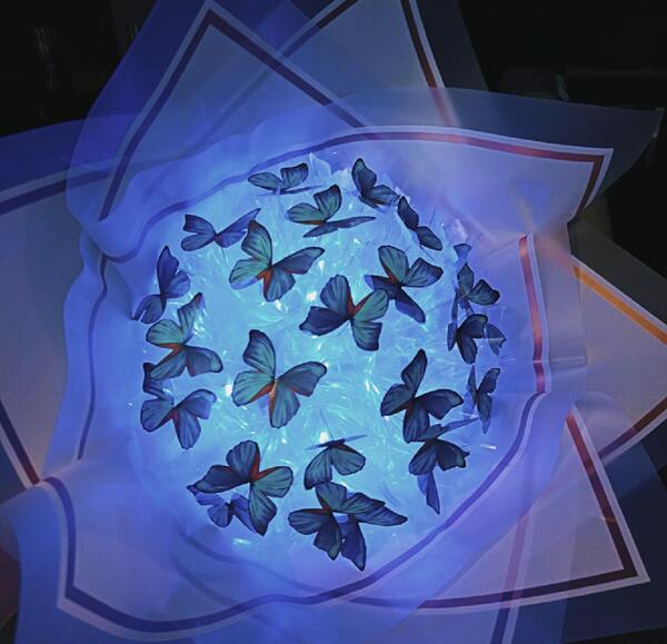 عکس گل پروانه ای