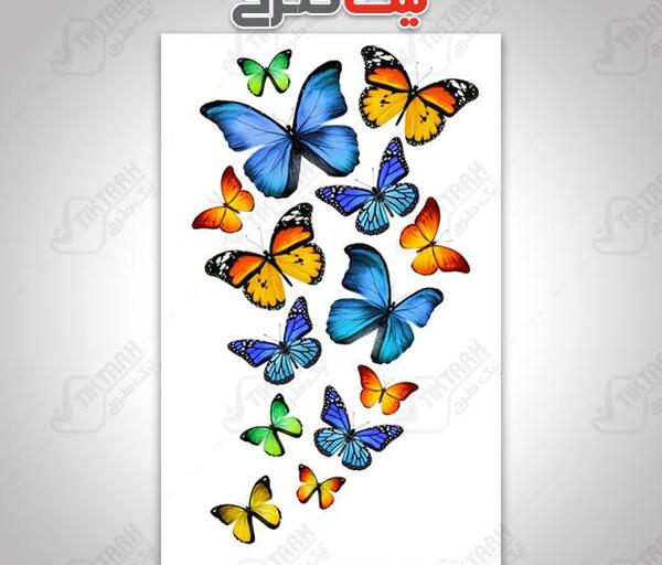 عکس پروانه های کوچک