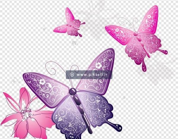 عکس پروانه کارتونی صورتی