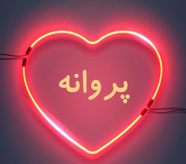 عکس پروانه در قلب
