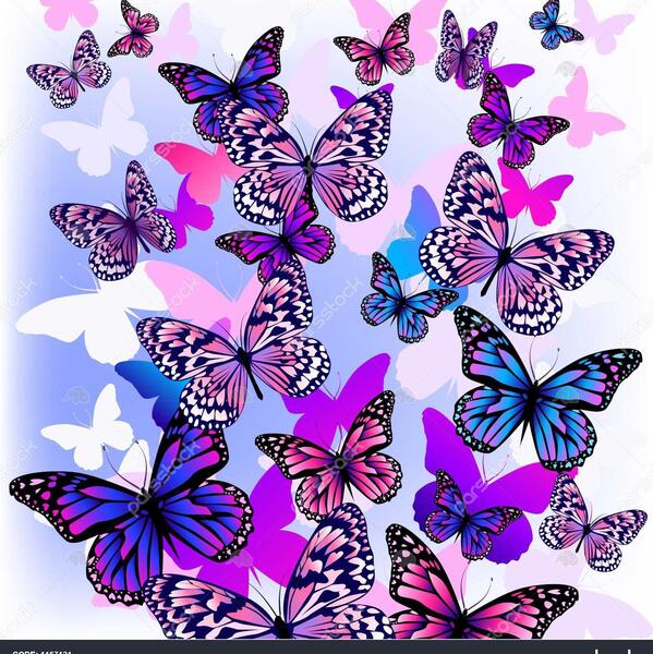 عکس پروانه با قلب