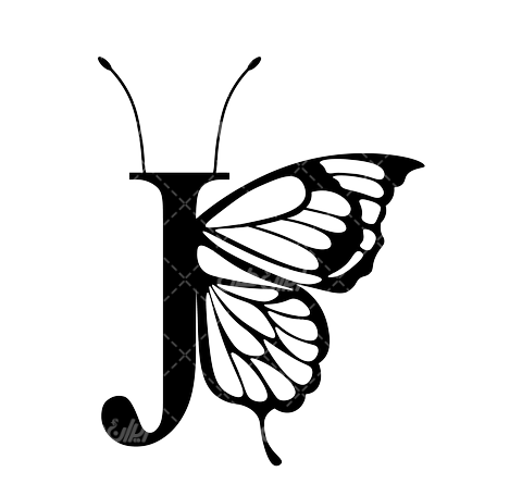 عکس پروانه سفید فانتزی