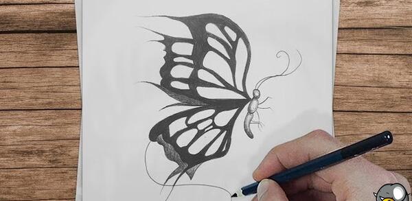 عکس طراحی پروانه با سیاه قلم